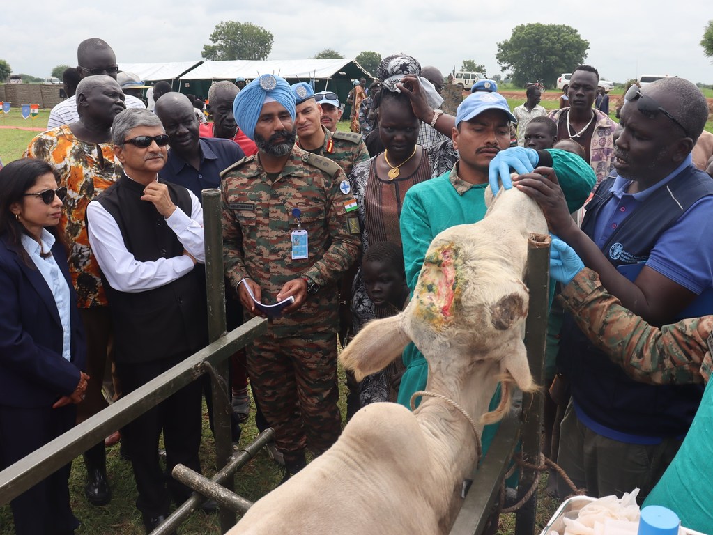 为缓解紧张局势并改善民生,南苏丹特派团印度维和人员在琼莱州开展了兽医诊疗活动,治疗动物疾病,提供预防性护理并免费发放药品。